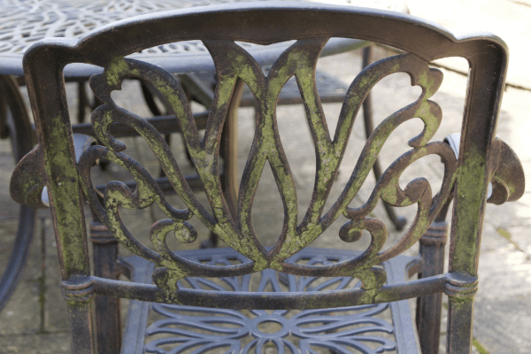 Green Mold On Metal Chair